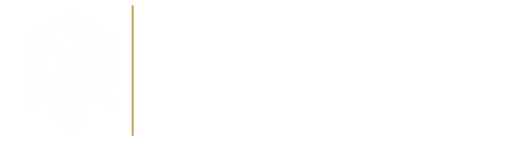 NGR Labs Logo